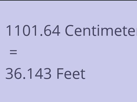 1101.64 CM TO FEET