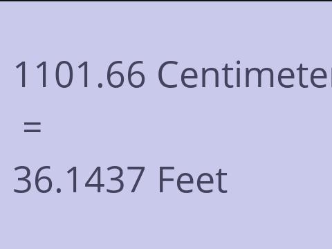 1101.66 CM TO FEET