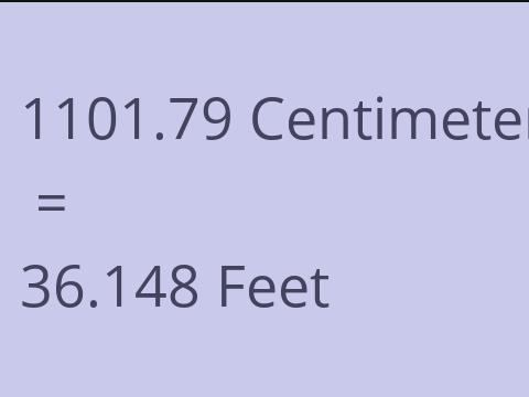 1101.79 CM TO FEET