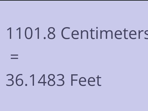 1101.8 CM TO FEET