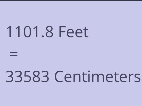 1101.8 FEET TO CM