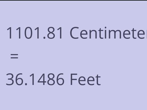 1101.81 CM TO FEET