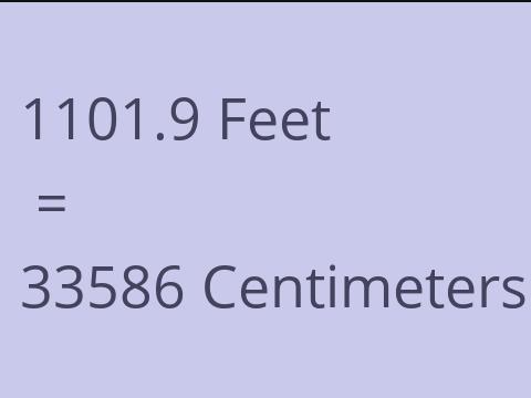 1101.9 FEET TO CM