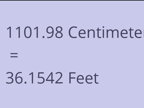 1101.98 CM TO FEET