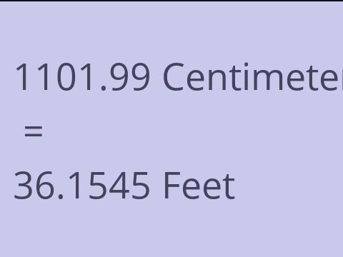 1101.99 CM TO FEET