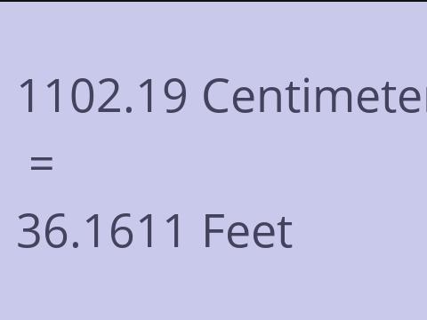 1102.19 CM TO FEET