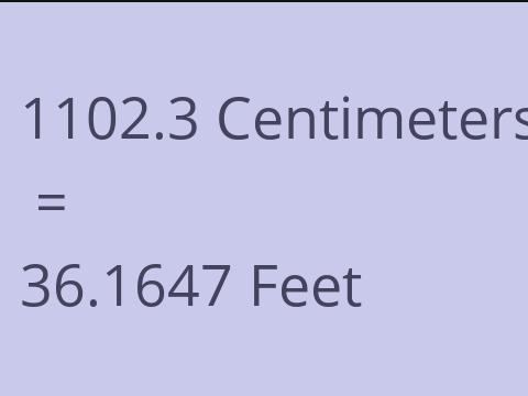 1102.3 CM TO FEET