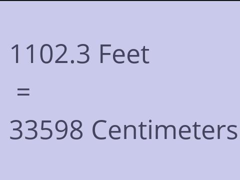 1102.3 FEET TO CM