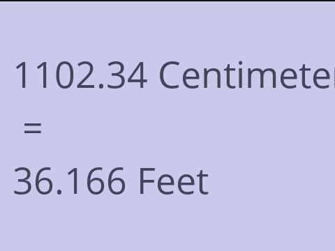 1102.34 CM TO FEET