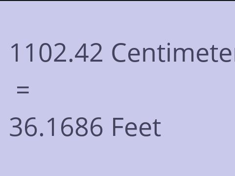 1102.42 CM TO FEET