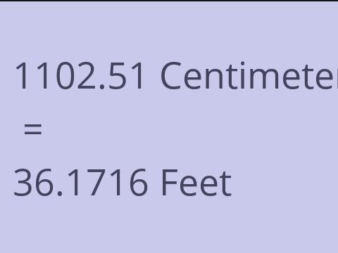 1102.51 CM TO FEET