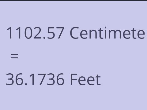 1102.57 CM TO FEET