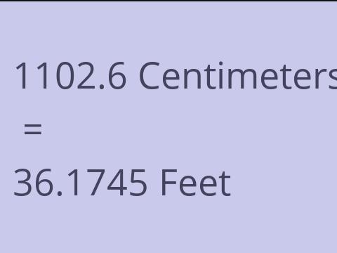 1102.6 CM TO FEET