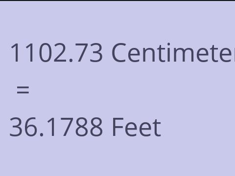 1102.73 CM TO FEET