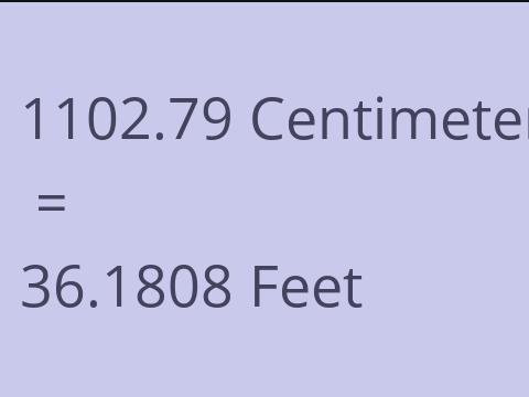 1102.79 CM TO FEET