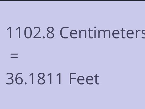 1102.8 CM TO FEET