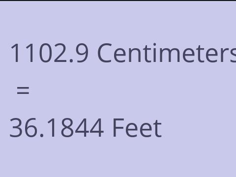 1102.9 CM TO FEET