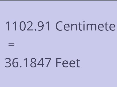 1102.91 CM TO FEET