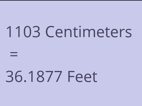 1103 CM TO FEET