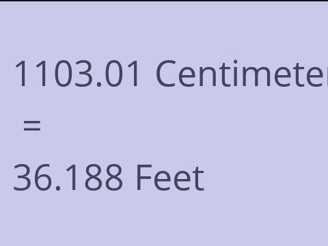 1103.01 CM TO FEET