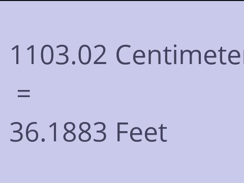 1103.02 CM TO FEET