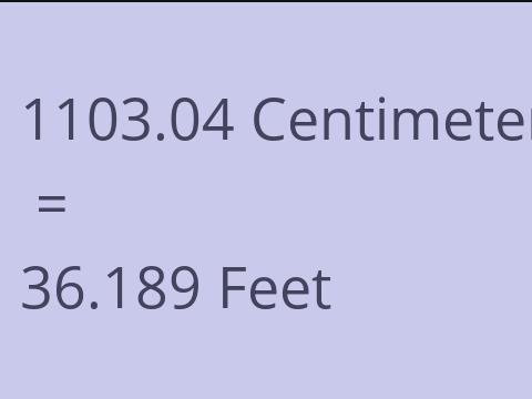 1103.04 CM TO FEET