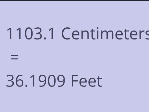 1103.1 CM TO FEET