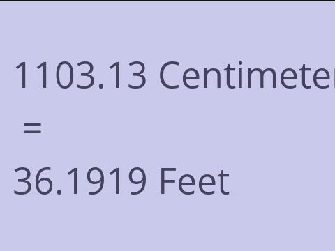 1103.13 CM TO FEET