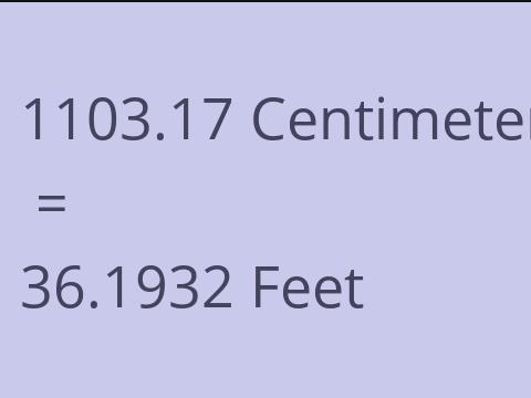 1103.17 CM TO FEET