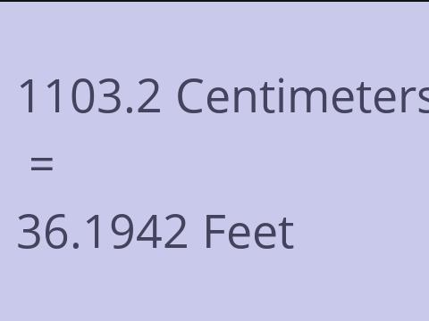 1103.2 CM TO FEET