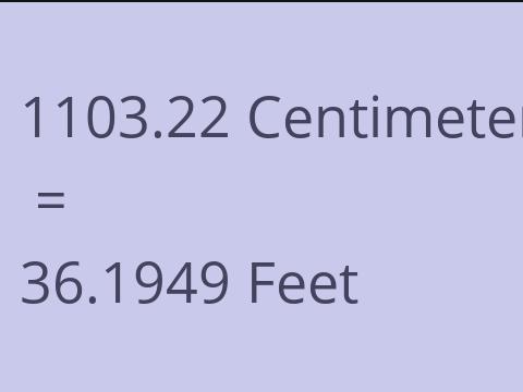 1103.22 CM TO FEET