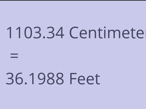 1103.34 CM TO FEET