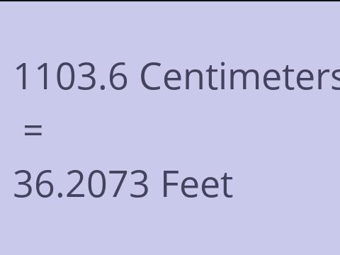 1103.6 CM TO FEET