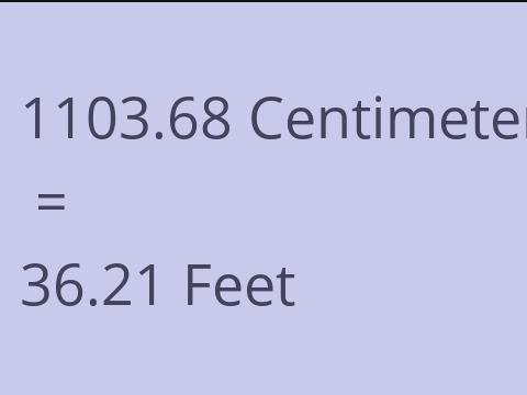 1103.68 CM TO FEET