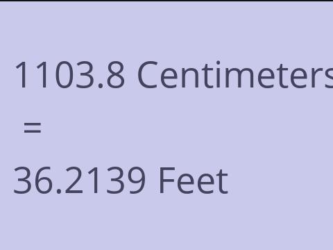 1103.8 CM TO FEET