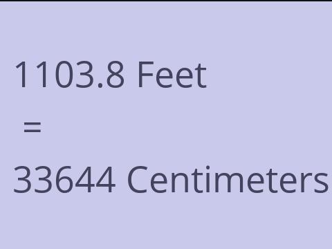 1103.8 FEET TO CM