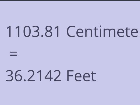 1103.81 CM TO FEET