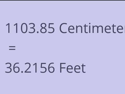 1103.85 CM TO FEET