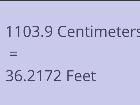 1103.9 CM TO FEET