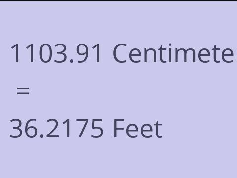 1103.91 CM TO FEET