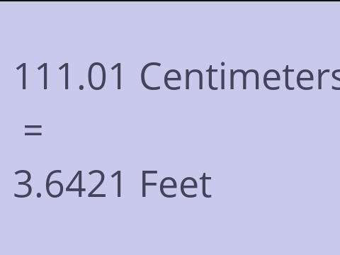 111.01 CM TO FEET