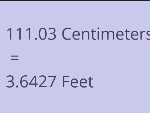 111.03 CM TO FEET