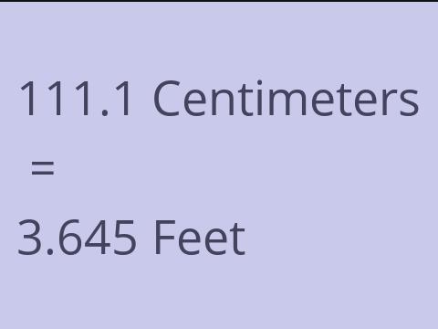 111.1 CM TO FEET