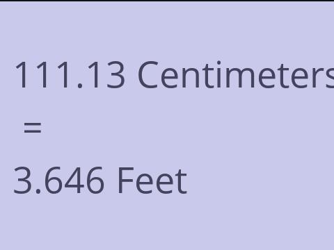 111.13 CM TO FEET