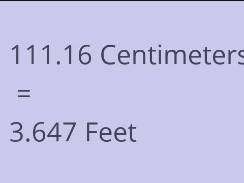 111.16 CM TO FEET