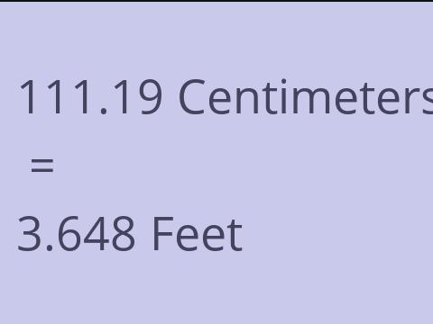 111.19 CM TO FEET