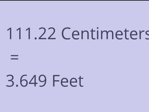 111.22 CM TO FEET