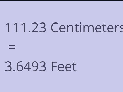 111.23 CM TO FEET