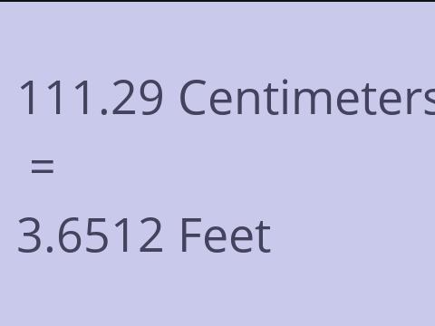 111.29 CM TO FEET