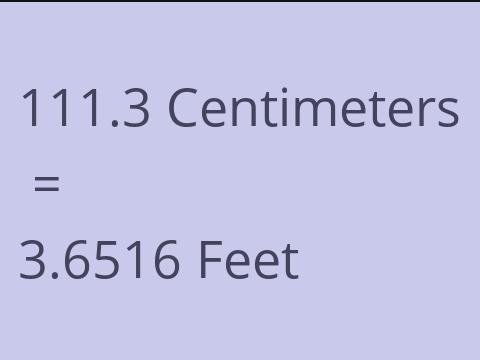 111.3 CM TO FEET